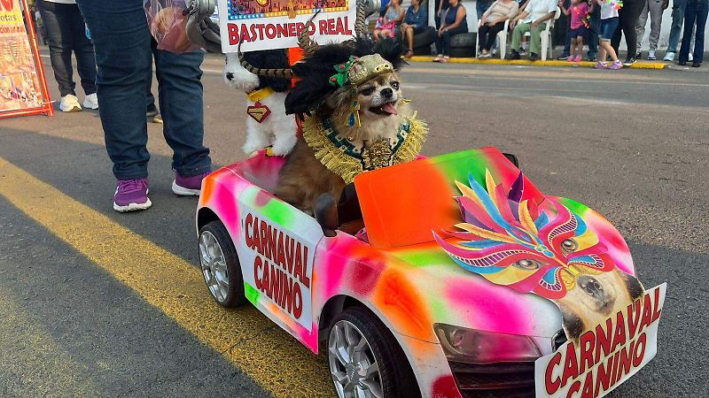 Carnavalito en tu Colonia
